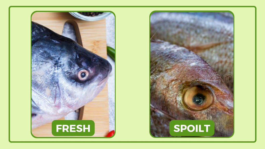 How to identify fish spoilage?
