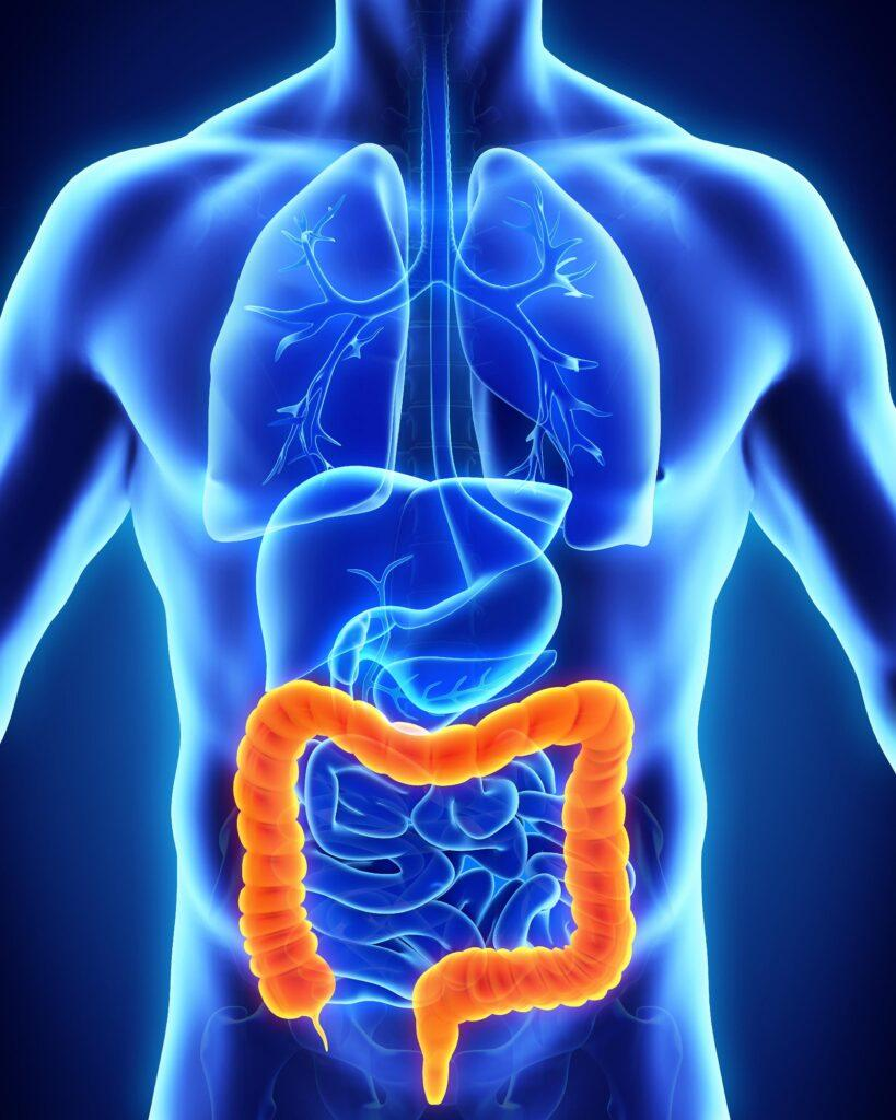 Essential Amino Acids: The Building Blocks of Health & Why protein from FISH is Good for Health