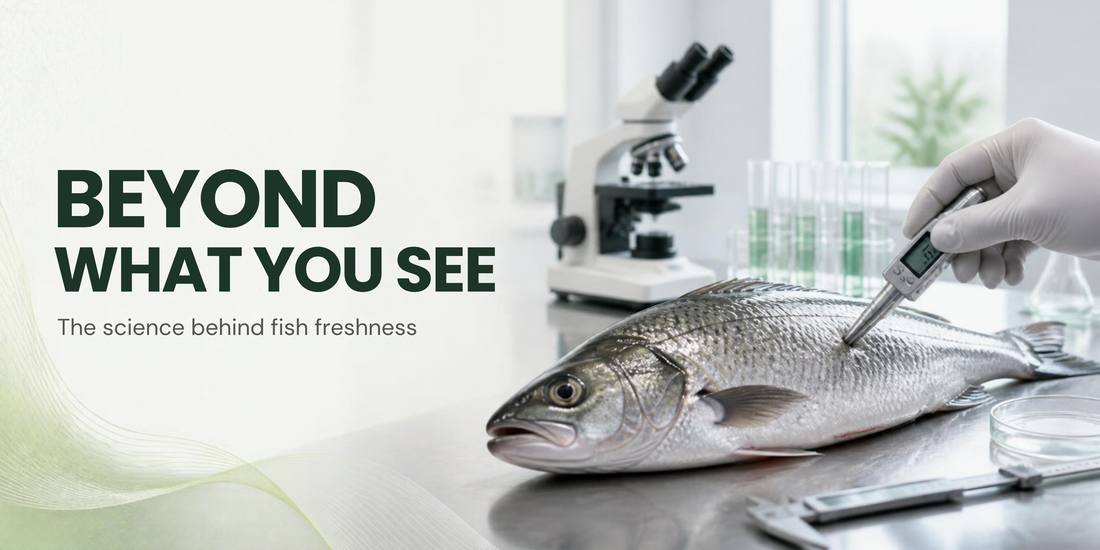 How Laboratories Measure Fish Freshness