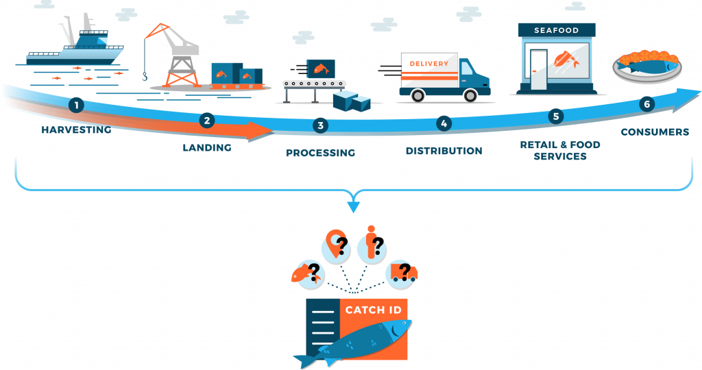 Traceability of Fish at Sea