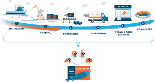 Traceability of Fish at Sea