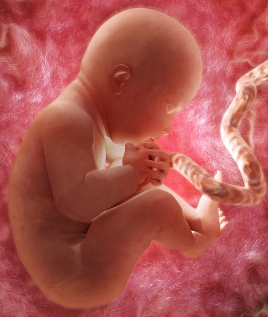 "Expected Mothers and Hazards of Dioxins to the Unborn Child" - To Know read more....