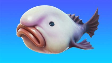 Should you buy Fish that has a bad odour ?