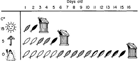 How are fishes stored after harvesting?
