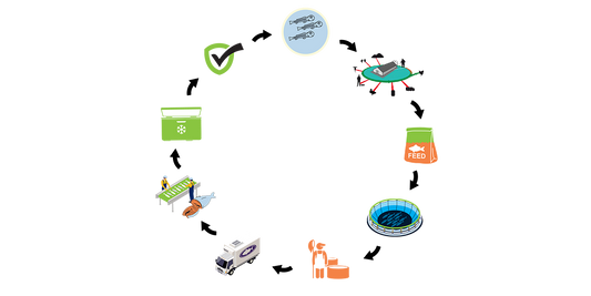 VTF's Traceable Food Chain that provides Extra Grade Nutrient Rich Fish Products?