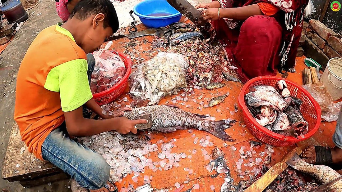 What is E Coli ? How it causes Diseases to Human ? Why Hygienic and Safe Butchering of FISH is a must ?