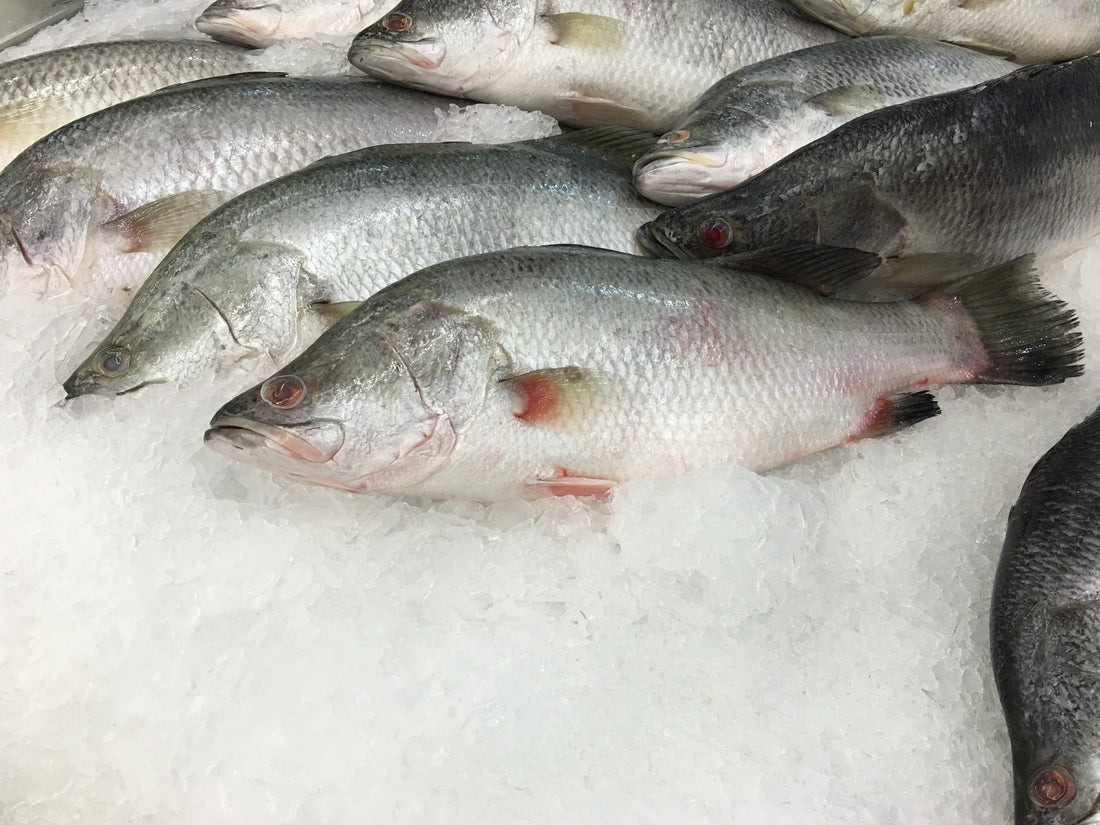 21g Lean Protein from Farm Fresh Asian Sea Bass