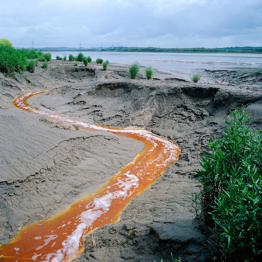 How does pollution Impact the Health of Kids ?  Read to know more...