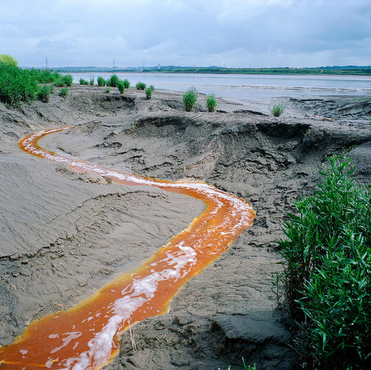 How does pollution Impact the Health of Kids ?  Read to know more...