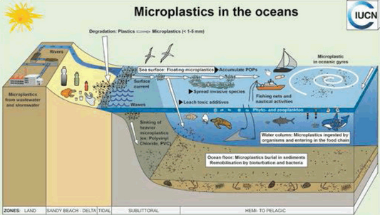 Microplastic Pollution in Ocean