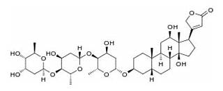 Heart Patients and Dioxin ? Is there any direct scientific corelation ? Read to know more