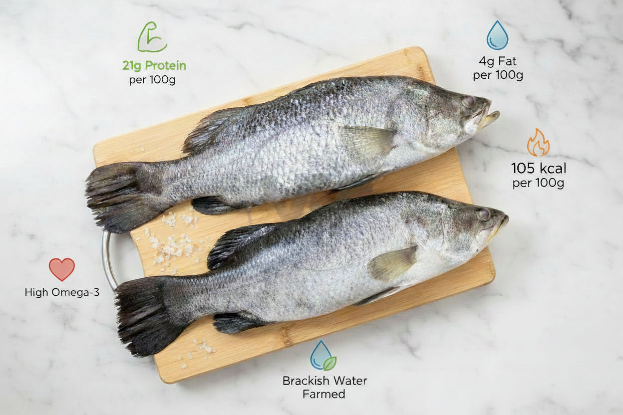“Fresh Asian Seabass whole fish placed neatly on a clean board, showcasing natural silver‑white skin texture, intact freshness, and VTF’s premium hygienic preparation.”