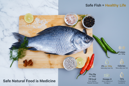 Fresh Catla whole fish displayed on a clean, elegant background with nutrient icons and premium taglines, highlighting hygiene, freshness, and VTF’s safe‑food quality standards