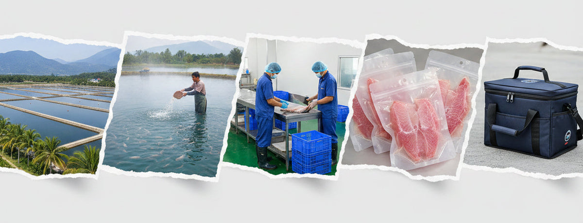 Collage of fish farming and processing steps with text labels on a white background.