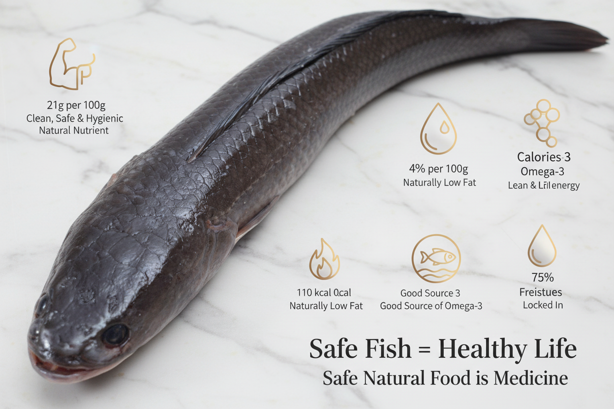 Murrel whole fish displayed on a clean, elegant background with nutrient icons and premium taglines, highlighting hygiene, freshness, and VTF’s safe‑food quality standards.
