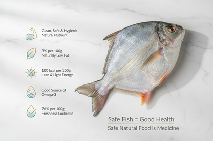 Premium Roopchand whole fish, cleaned and displayed on an elegant background with nutrient icons, highlighting freshness, hygiene, and VTF’s upper‑class quality standards.
