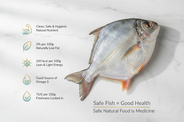 Premium Roopchand whole fish, cleaned and displayed on an elegant background with nutrient icons, highlighting freshness, hygiene, and VTF’s upper‑class quality standards.